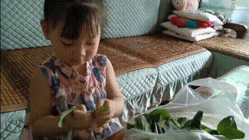 微信圖片_20221013150318.gif 微信圖片_20221013150318.gif